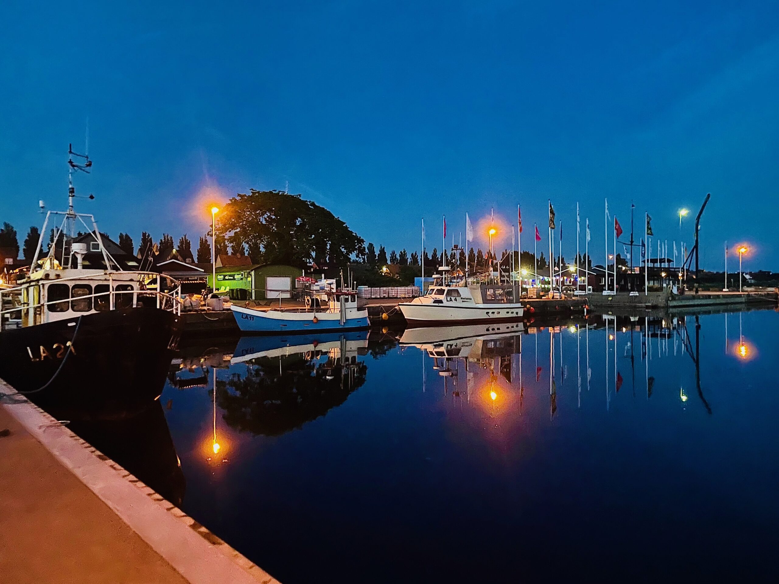 landskrona borstahusen